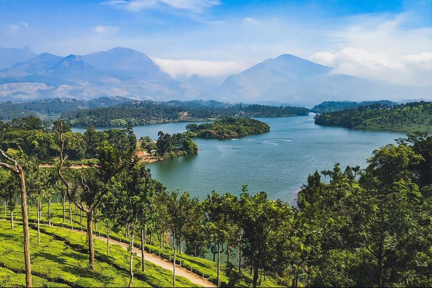 Anayirankal Dam & Lake near RPEES Millennium Stay Inn
