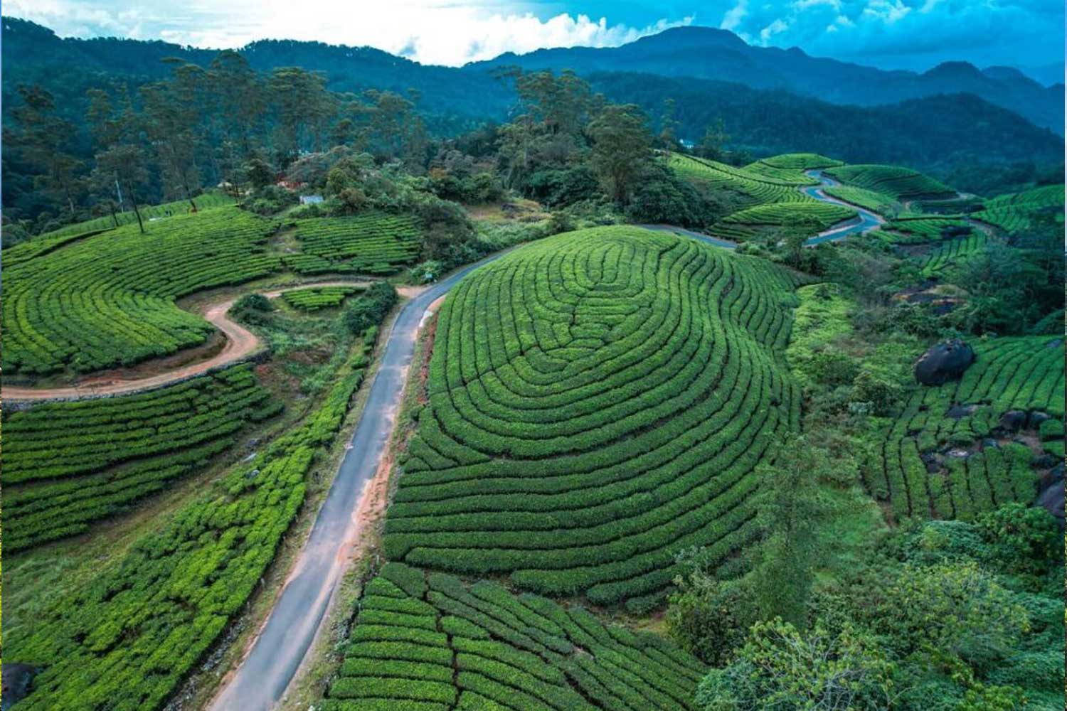 Munnar near RPEES Millennium Stay Inn