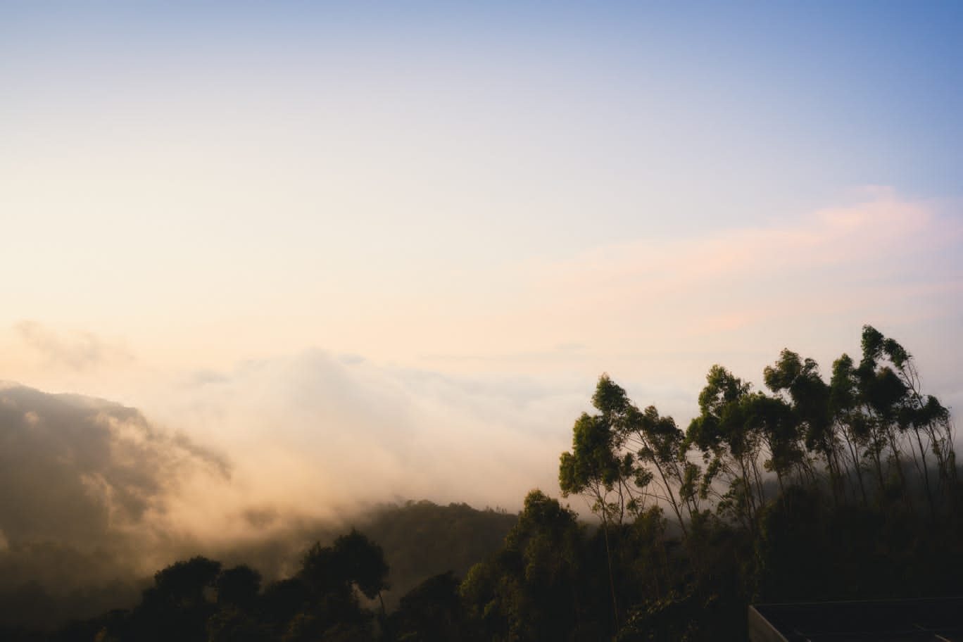 Mist lifting off the valley at first light